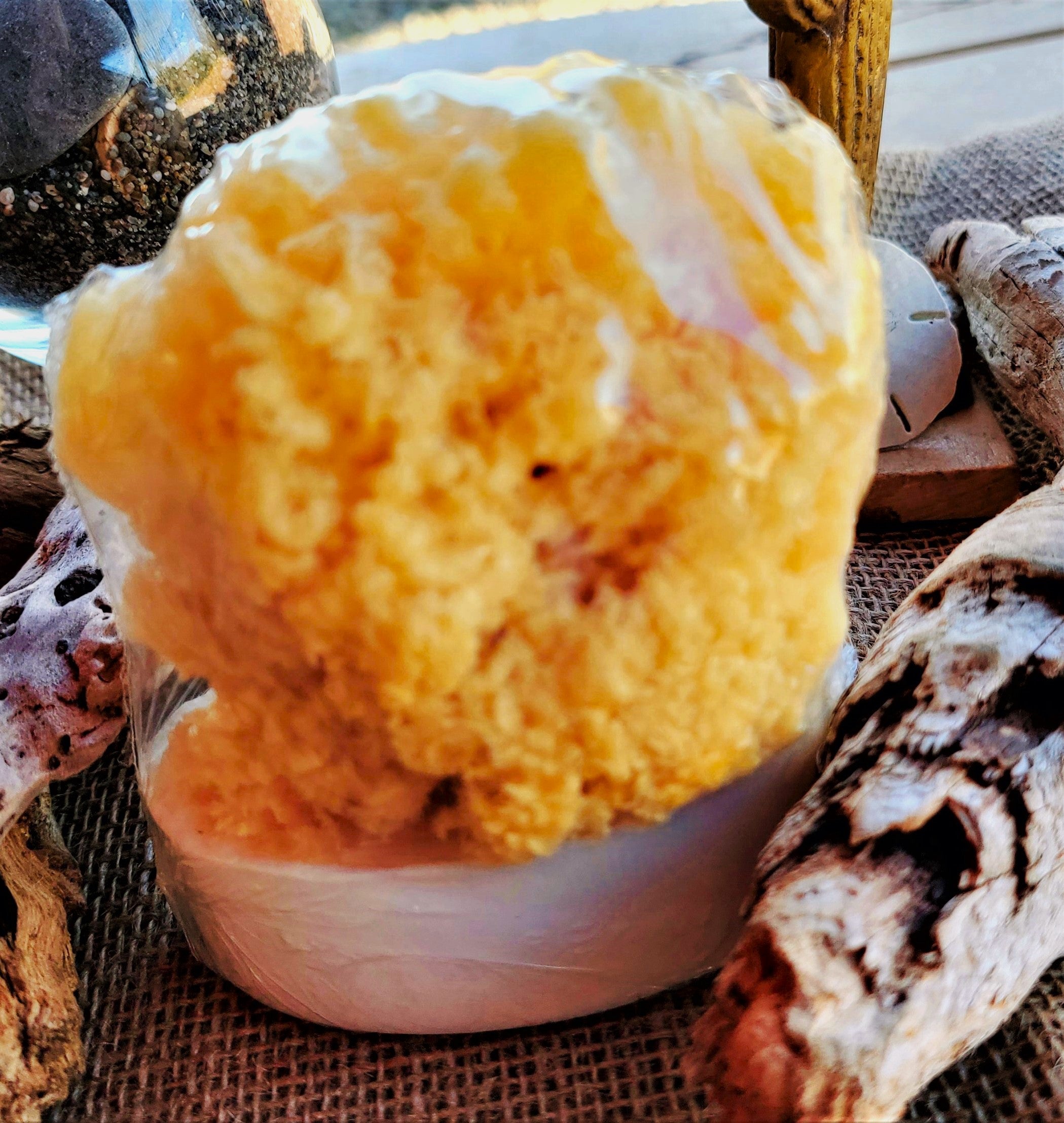 Sea Sponge Soap