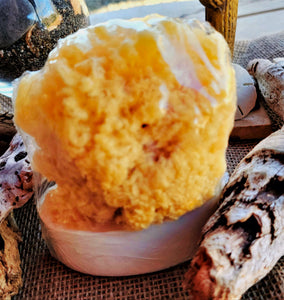 Sea Sponge Soap